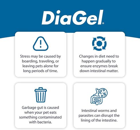 DiaGel for Small Dogs (1-30 lbs.) - Orally Administered Gel for Occasional Loose Stools and Digestive Upset - Natural Pet Products - Van Beek Natural Science in Kuwait