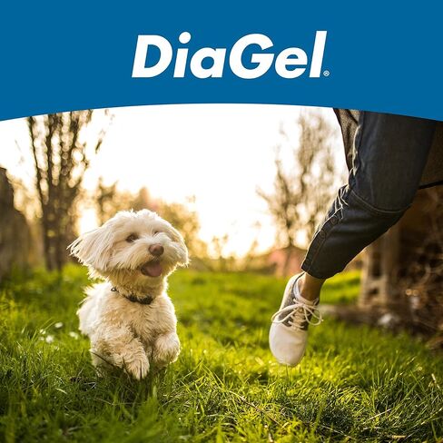 DiaGel for Small Dogs (1-30 lbs.) - Orally Administered Gel for Occasional Loose Stools and Digestive Upset - Natural Pet Products - Van Beek Natural Science in Kuwait