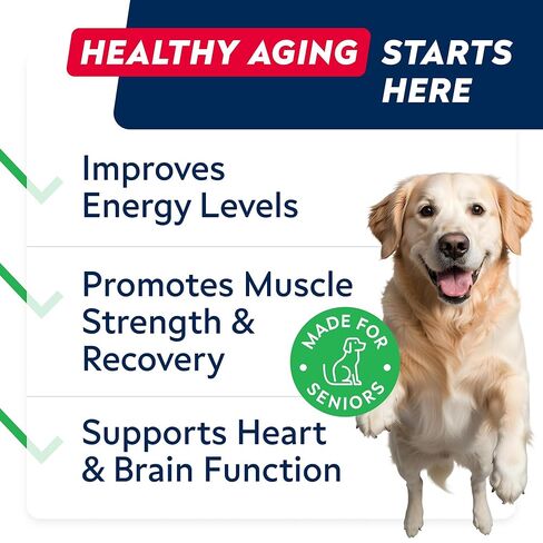 STRELLALAB NAD+ for Dogs - Longevity Supplement - Quercetin, NMN, Resveratrol - Energy Booster for Senior Dogs, Canine Cognitive Supplement for Brain Health - Paw Aging Support Chews - 90Ct in Kuwait