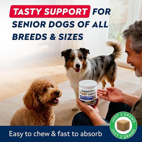 STRELLALAB NAD+ for Dogs - Longevity Supplement - Quercetin, NMN, Resveratrol - Energy Booster for Senior Dogs, Canine Cognitive Supplement for Brain Health - Paw Aging Support Chews - 90Ct in Kuwait