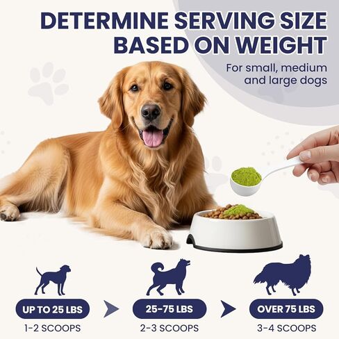 Dog Dental Cleaning Immunity Powder Dog Dental Cleaning Powder with Probiotics to Lighten Bad Breath and Control Plaque Tartar Supports Dogs Dental Care and Immune Health 4.23 OZ in Kuwait