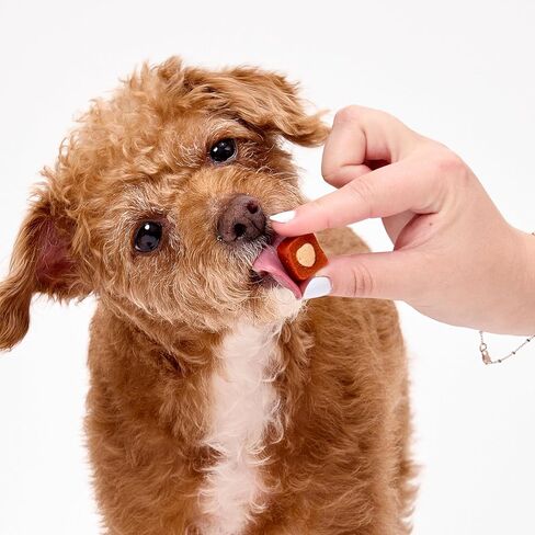 Ark Naturals Protection+ Brushless Toothpaste for Mini Breeds Bundle - Fortified Dog Dental Chew with Toothpaste Center - Helps Reduce Plaque & Tartar, Polishes Teeth, and Freshens Breath (3pk) in Kuwait