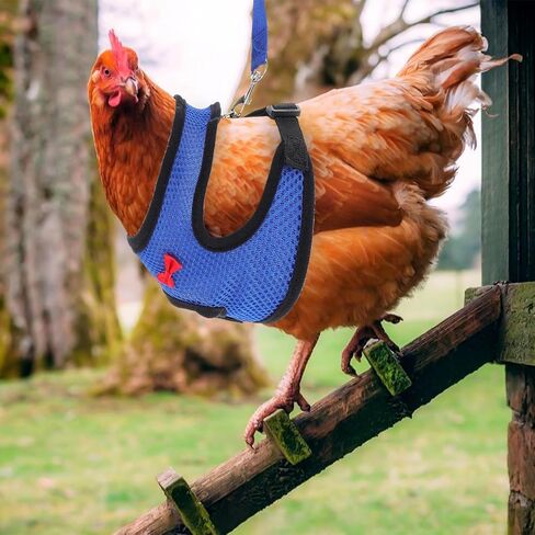 Cabilock Breathable Chicken Harness and Adjustable Pet Walking Leash with Mesh Vest, Blue S Size, Comfortable Bowknot Design for Chickens, Ducks, and Small Poultry Random Color in Kuwait