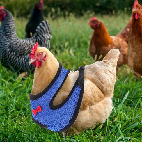 Cabilock Breathable Chicken Harness and Adjustable Pet Walking Leash with Mesh Vest, Blue S Size, Comfortable Bowknot Design for Chickens, Ducks, and Small Poultry Random Color in Kuwait