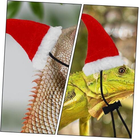 BESPORTBLE Leash and Harness Set with Wing Design, Includes Hat, Scarf, and Traction Rope, Outdoor Reptile Pet Supply for Small Lizards and Bearded Dragons in Kuwait