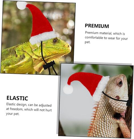BESPORTBLE Leash and Harness Set with Wing Design, Includes Hat, Scarf, and Traction Rope, Outdoor Reptile Pet Supply for Small Lizards and Bearded Dragons in Kuwait