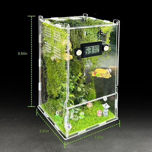 Jumping Spider Enclosure Kit,(Contains All Components) DIY Insects Habitat,Small Reptile Terrarium Glass House Accessories Set,with Temperature and Humidity Detector.5.5“x5.5"x9.5“ (Green) in Kuwait
