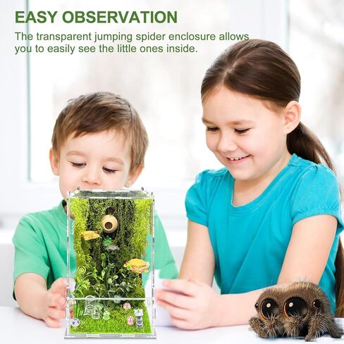 Jumping Spider Enclosure Kit,(Contains All Components) DIY Insects Habitat,Small Reptile Terrarium Glass House Accessories Set,with Temperature and Humidity Detector.5.5“x5.5"x9.5“ (Green) in Kuwait