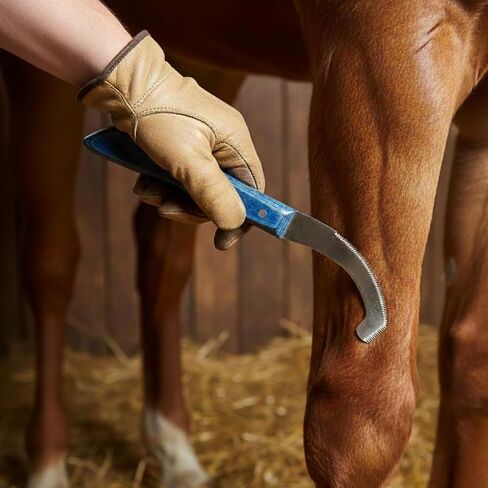 ZEESKTAR Bot Fly Knife for Horses – Stainless Steel Bot Egg Removal Tool, Curved Serrated Scraper with Ergonomic Blue Handle for Horse Grooming in Kuwait