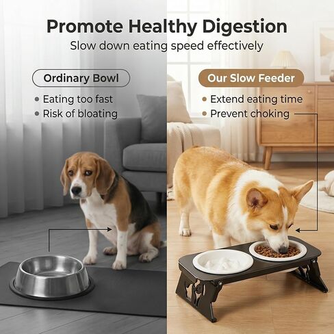Elevated Ceramic Slow Feeder Bowls, 2 Bowls & Black Stainless Steel Stand,for Cats and Small Medium Dogs, 1.5 Cups*2,Raised Cat Food and Water Bowl Set, Blue & White in Kuwait