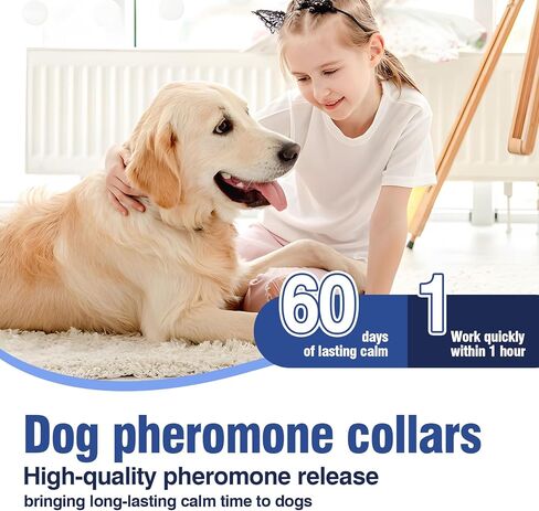 4 Pack Dog Calming Collar with Pheromones – for Thunder, Fireworks & Separation – Adjustable 8-25 Inch Size (Grey) – Stop Whining, Barking in Kuwait
