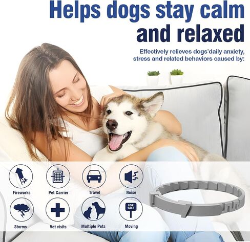 4 Pack Dog Calming Collar with Pheromones – for Thunder, Fireworks & Separation – Adjustable 8-25 Inch Size (Grey) – Stop Whining, Barking in Kuwait