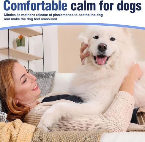 4 Pack Dog Calming Collar with Pheromones – for Thunder, Fireworks & Separation – Adjustable 8-25 Inch Size (Grey) – Stop Whining, Barking in Kuwait