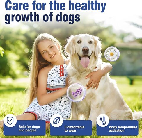 4 Pack Dog Calming Collar with Pheromones – for Thunder, Fireworks & Separation – Adjustable 8-25 Inch Size (Grey) – Stop Whining, Barking in Kuwait