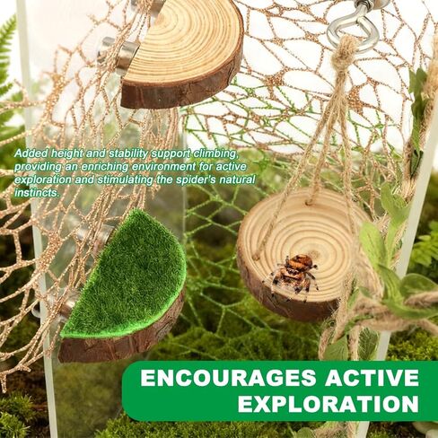 7Pc Spider Habitat Set with Sequined Climbing Webs, Wood Platforms and Bridge in Kuwait