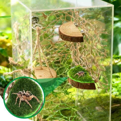 7Pc Spider Habitat Set with Sequined Climbing Webs, Wood Platforms and Bridge in Kuwait