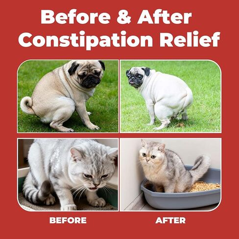 Constipation Relief for Dogs and Cats - Gentle Laxative and Stool Softener with Psyllium - Supports Healthy Bowel Movements, Hairball Relief, and Digestive Comfort - 2 fl oz (60 ml) in Kuwait