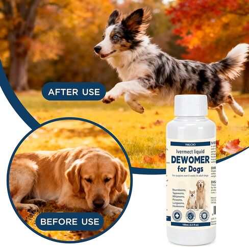 lvermect for Dogs, Dewomax Liquid Digestive Support, Broad Spectrum Formula for Puppies & Adult Dogs – Supports Gut Balance, Internal Cleanse & Canine Wellness – 3.5 oz (100mL) in Kuwait