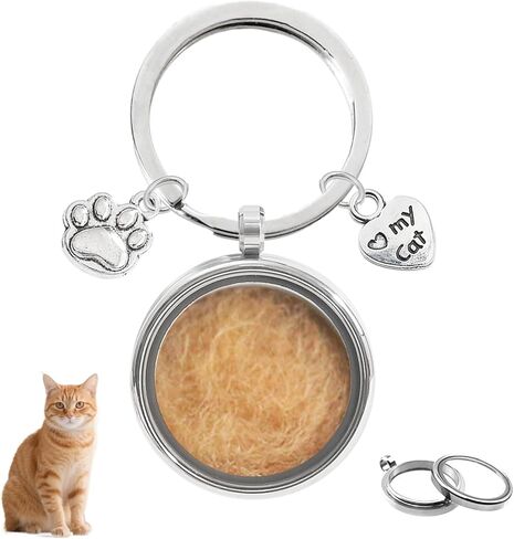 Cat Hair Keepsake Keychain - Stainless Steel Locket Pendant for Pet Fur & Ashes, Paw Charm Memorial Jewelry, Sympathy Gift for Cat Lovers in Kuwait