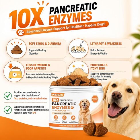 Pancreatic Enzymes for Dogs – 10X Pancreatin Digestive Enzyme Chews for EPI Support, Supports Digestive Stress, Pancreatic Issues & Healthy Weight Management – 150 Chews in Kuwait