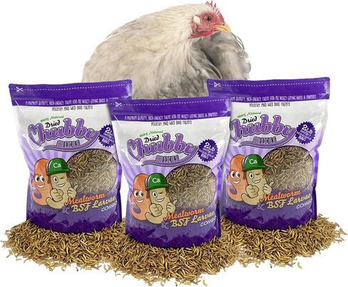 Chubby Mix Mealworm & Black Soldier Fly Larvae | 2 lbs | Non-GMO High-Protein Dried Insects for Chickens, Ducks & Wild Birds – Calcium-Rich Chicken Treats in Kuwait