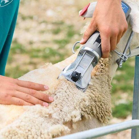 حزمة المقص Premier 1 4000c in Kuwait