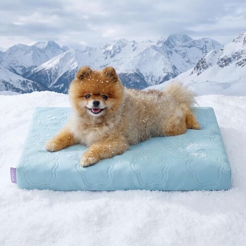 LE SURE Cooling Dog Bed Medium Size Dog, Q-Max>0.5 Cooling Mat with Removable Washable Cover, Breathable Orthopedic Egg Crate Foam Summer Pad for Active/Long-Haired/Senior Pets/Cats/Puppy, 29x18 Inch in Saudi Arabia