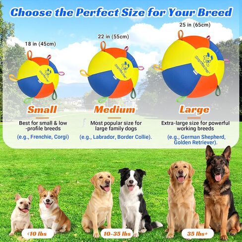 Hap Tim Herding Ball for Dogs 25 Inch Interactive Large Dog Ball with Handles Durable Outdoor Training Dog Toy for Medium to Large Dogs Corgis Australian Shepherd Cattle Dog Border Collie & Horses in Kuwait