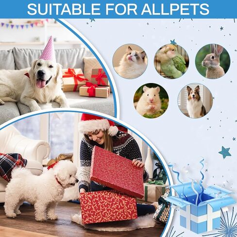 2026 New Dog Nail Clippers صامت، هادئ، مطحنة أظافر للكلاب، كفوف غير مؤلمة للعناية والتنعيم، ماكينة تشذيب أظافر الحيوانات الأليفة الكهربائية للقطط والحيوانات الأخرى، مثالية للكلاب الحساسة من جميع السلالات والأحجام in Kuwait