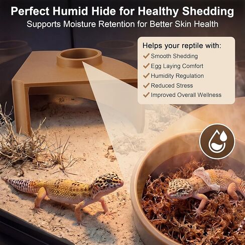 Saillong Premium Leopard Gecko Tank Accessories Reptile Corner Underground Cave Humid Hide & Viewing Cave for Leopard Gecko, Snake Hide Geckos Tank Accessories for Climbing, Shedding & Enrichment in Kuwait