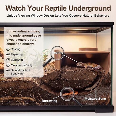 Saillong Premium Leopard Gecko Tank Accessories Reptile Corner Underground Cave Humid Hide & Viewing Cave for Leopard Gecko, Snake Hide Geckos Tank Accessories for Climbing, Shedding & Enrichment in Kuwait