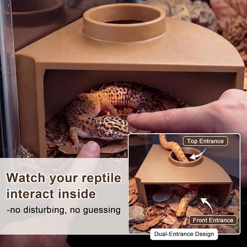 Saillong Premium Leopard Gecko Tank Accessories Reptile Corner Underground Cave Humid Hide & Viewing Cave for Leopard Gecko, Snake Hide Geckos Tank Accessories for Climbing, Shedding & Enrichment in Kuwait