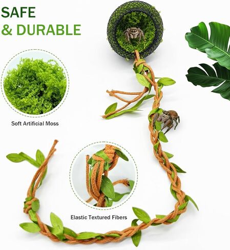 Jumping Spider Hide Cave & Climbing Kit, Compact Magnetic Reptile Habitat with Secure Mesh and Safe Soft Moss, Enrichment Accessories Kit for Jumping Spiders, Tarantulas, Small Reptiles and Amphibians in Kuwait