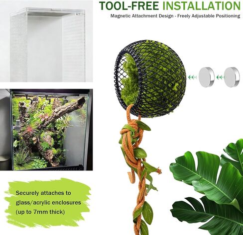 Jumping Spider Hide Cave & Climbing Kit, Compact Magnetic Reptile Habitat with Secure Mesh and Safe Soft Moss, Enrichment Accessories Kit for Jumping Spiders, Tarantulas, Small Reptiles and Amphibians in Kuwait