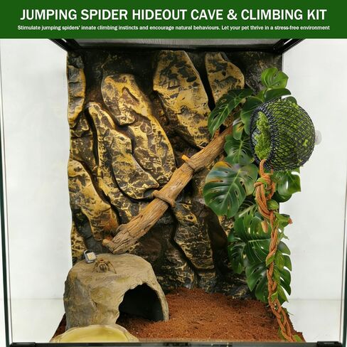 Jumping Spider Hide Cave & Climbing Kit, Compact Magnetic Reptile Habitat with Secure Mesh and Safe Soft Moss, Enrichment Accessories Kit for Jumping Spiders, Tarantulas, Small Reptiles and Amphibians in Kuwait