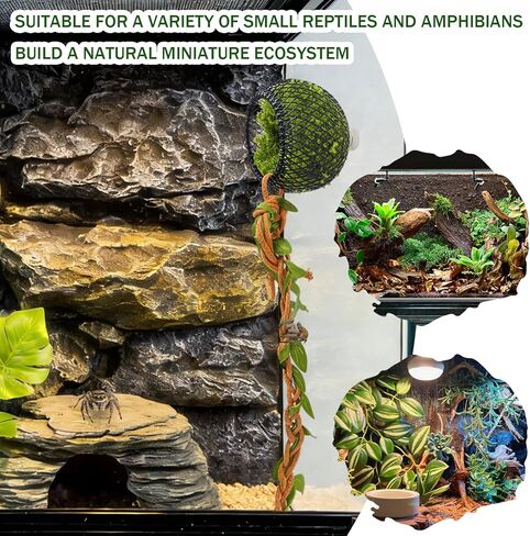 Jumping Spider Hide Cave & Climbing Kit, Compact Magnetic Reptile Habitat with Secure Mesh and Safe Soft Moss, Enrichment Accessories Kit for Jumping Spiders, Tarantulas, Small Reptiles and Amphibians in Kuwait