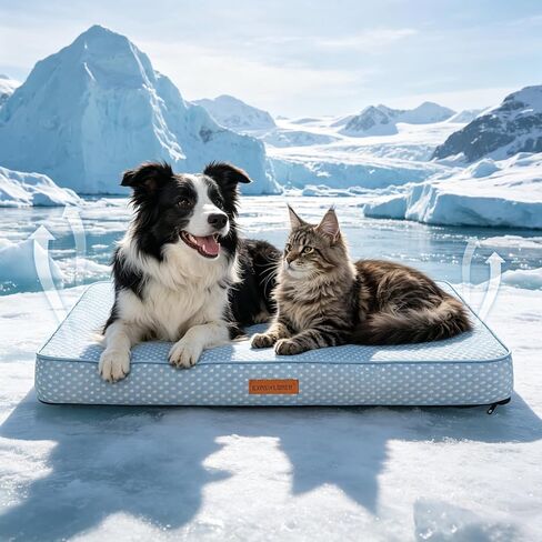 بساط تبريد للكلاب من EXPAWLORER، وسادة سرير سميكة غير قابلة للانزلاق مقاس 36 * 27 بوصة مع نسيج مهدئ للبرد للكلاب الكبيرة والقطط والحيوانات الأليفة في الصيف، سرير بيت الكلب قابل للحمل وقابل للغسل مع غطاء داخلي مقاوم للماء in Kuwait