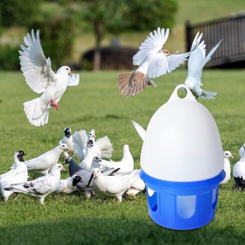 Taube Drinker Pet Dove Drinker Cage Accessories for Cockatise Pepeacock, 10L in Kuwait