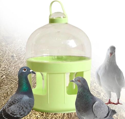 Pigeon Water Dispenser, Feeder, Drinking Bottle, Bird Bath, Pet Water Pot, Container for Parrots, 2L in Kuwait