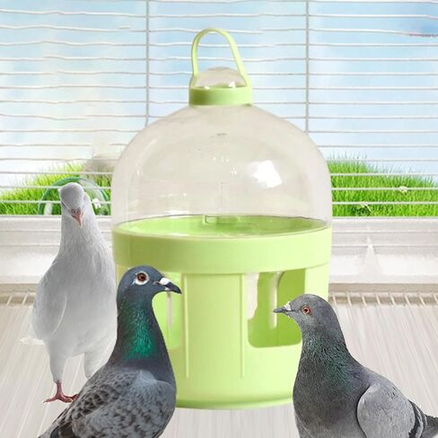 Pigeon Water Dispenser, Feeder, Drinking Bottle, Bird Bath, Pet Water Pot, Container for Parrots, 2L in Kuwait