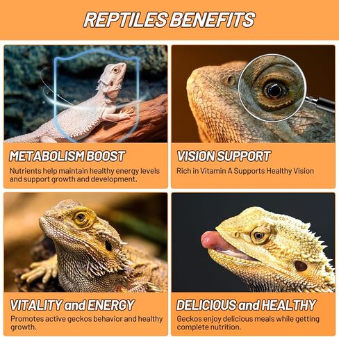 Crested Gecko Food Insect Puree, Hornworm Paste Reptile Food Made with Fresh Insects Gecko Food Complete Diet 2.82oz in Kuwait