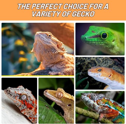 Crested Gecko Food Insect Puree, Hornworm Paste Reptile Food Made with Fresh Insects Gecko Food Complete Diet 2.82oz in Kuwait