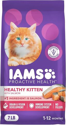 IAMS الصحة الاستباقية الصحية للقطط الجافة وصفة سمك السلمون، 7 رطل in Kuwait