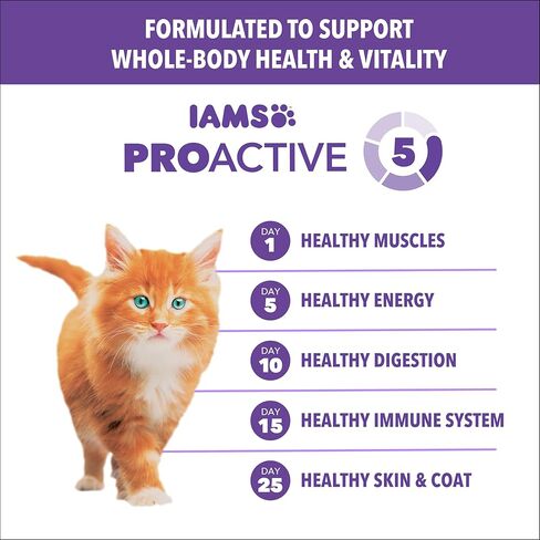 IAMS الصحة الاستباقية الصحية للقطط الجافة وصفة سمك السلمون، 7 رطل in Kuwait