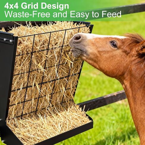 2 in 1 Wall Mount Hay and Grain Feeder, Heavy Duty Metal Hay Rack, Sturdy Livestock Feed Container Easy to Install for Goats, Sheep, Horses and Cattle in Kuwait