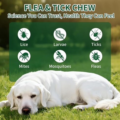 Flea and Tick Chewable for Dogs 200ct - Dog Flea and Tick Supports, Natural Yeast Omega 3 for Skin Coat & Itching Relief, Immune Support, Oral Supplement for All Breeds & Ages in Kuwait