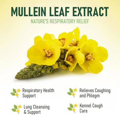 Cough Relief Mullein Drops for Dogs & Cats, Kennel/Dry/Wet Cough, Hoarseness, Seasonal coughing, Easy Breathing, Lung Cleanse, Better Lungs, Soothes Throat - Natural & Efficient ﻿ ﻿ ﻿ in Kuwait