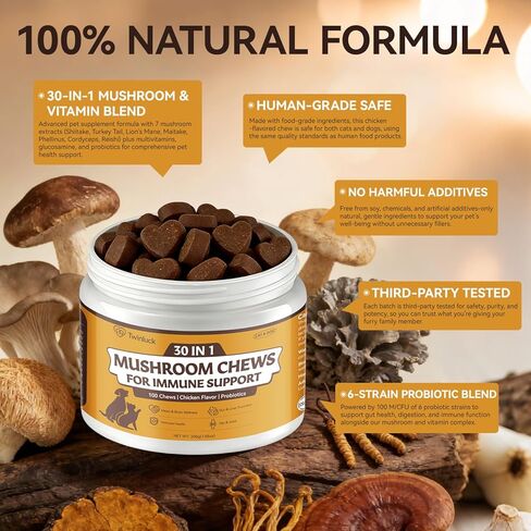 Turkey Tail Mushroom for Dogs & Cats - Mushroom Chews for Pets, Lipoma Treatment for Dogs, Immune Health, Buddy Guard for Dogs Lumps and Bumps (100 Chews) in Kuwait