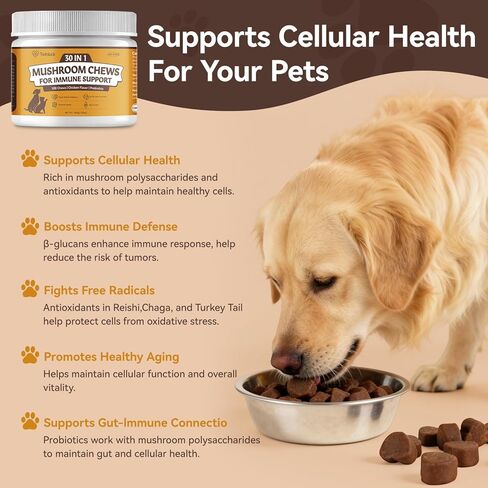 Turkey Tail Mushroom for Dogs & Cats - Mushroom Chews for Pets, Lipoma Treatment for Dogs, Immune Health, Buddy Guard for Dogs Lumps and Bumps (100 Chews) in Kuwait