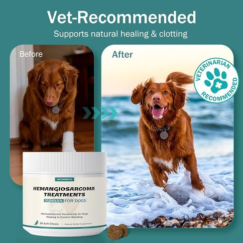 Yunnan Sanqi for Dogs Soft Chew for Hemangiosarcoma, Hemoabdomen, Pericardial Effusion, Cancer Bleeding, Severe Bruising, Ulcer-Related Bleeding, Bloody Stools - 90 Soft Chews in Kuwait